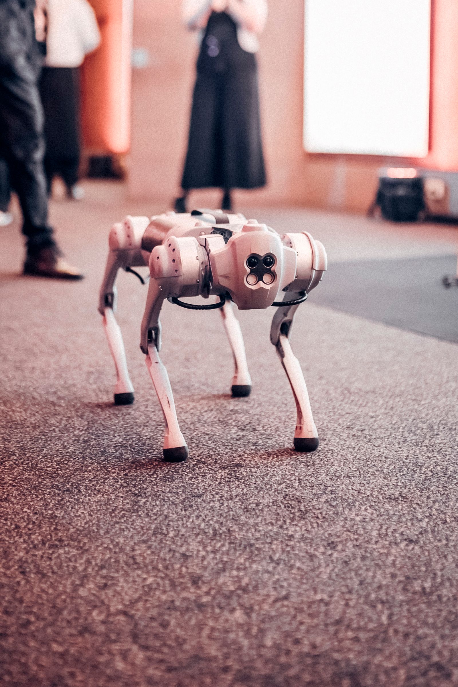 White Dog Robot